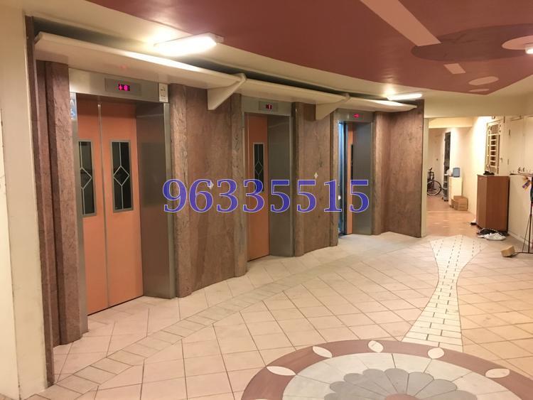 Woodlands Drive 75 thumbnail photo